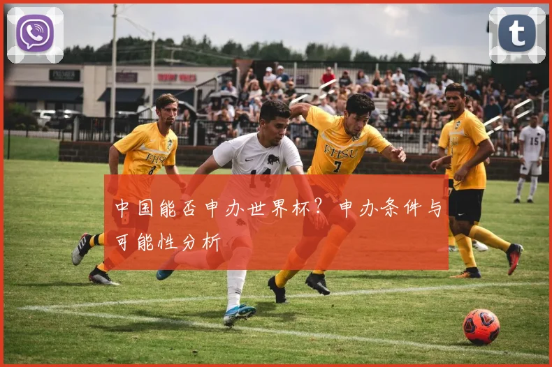中国能否申办世界杯？申办条件与可能性分析
